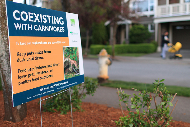A sign in a neighborhood garden reads, COEXISTING WITH CARNIVORES. It advises keeping pets inside from dusk until dawn and feeding pets indoors. A person walks with a stroller on the sidewalk in the background.