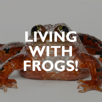 A close-up of a brown frog with black spots on a white background. Bold white text over the frog reads, “LIVING WITH FROGS!”.