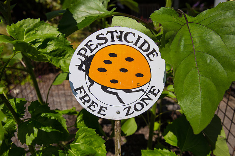 A round sign with a cartoon ladybug reads “PESTICIDE FREE ZONE,” surrounded by green leaves and plants, indicating that pesticides are not used in this area.
