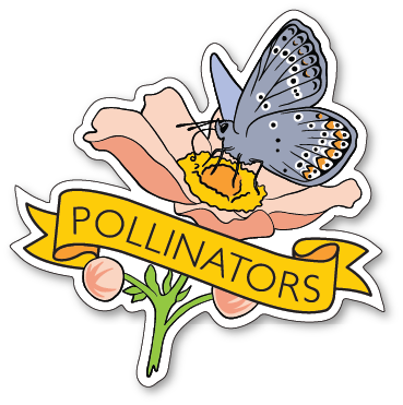 A sticker illustration of a blue and orange butterfly on a pink flower, with a yellow banner below that reads POLLINATORS.
