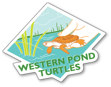 A badge-shaped graphic of a hand releasing a western pond turtle into a pond surrounded by tall grass, with the text WESTERN POND TURTLES at the bottom.