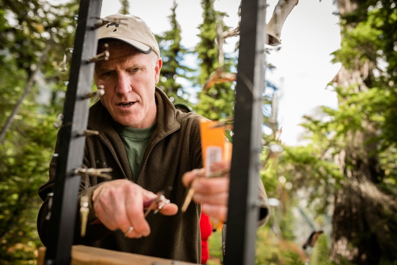 Robert Long uses pliers to remove fur samples from a vertical structure, surrounded by trees and greenery.