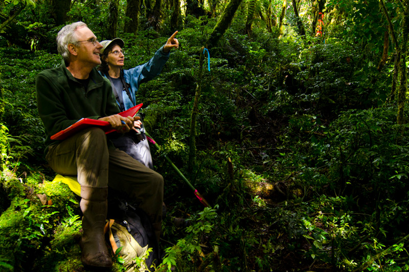 Two people sit on a log in a lush, green forest. One holds a red notebook and smiles while the other points ahead, both observing wildlife. Sunlight filters through the foliage.