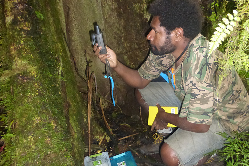 A man in a camouflage shirt crouches next to a large tree in a forest, holding a GPS device and yellow notebook—tools often used in research methods by the Tree Kangaroo Conservation Program—surrounded by green moss and research equipment.