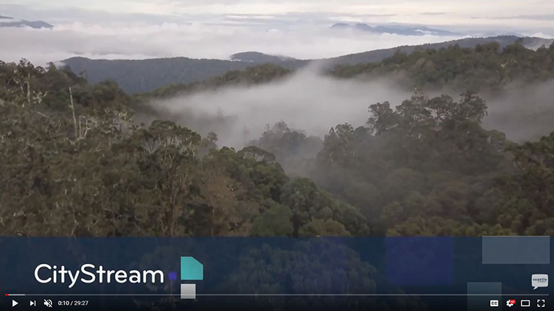 A YouTube video screenshot shows misty forested hills under a cloudy sky, highlighting the beauty of nature. The video title CityStream appears in large white text on a blue overlay, featuring stories like the Tree Kangaroo Conservation Program.