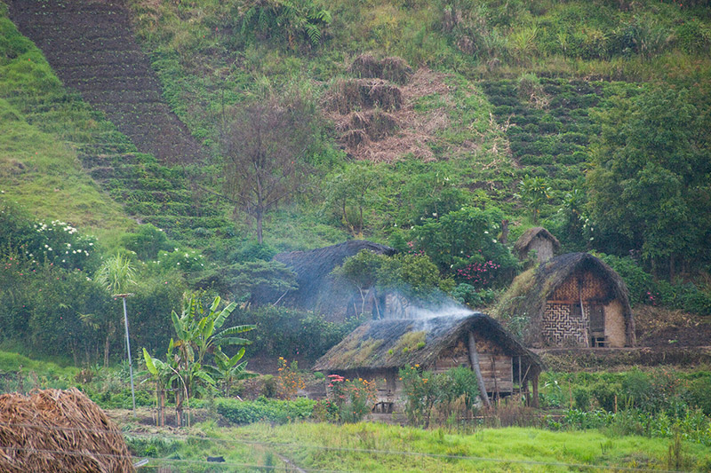 A cluster of small thatched-roof huts is nestled among lush green hills and terraced fields, mirroring the geographic location of the Tree Kangaroo Conservation Project, with smoke rising from one hut amid dense vegetation and towering trees.