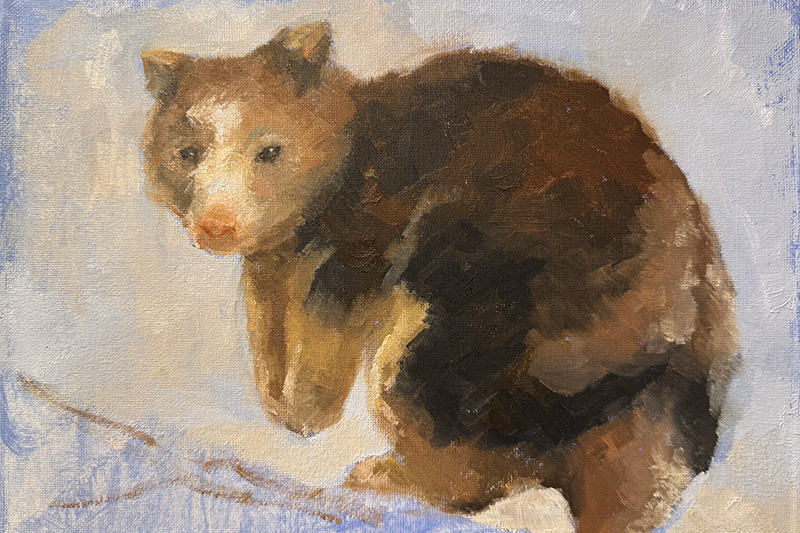 Painting of a Tree Kangaroo