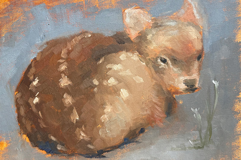 Painting of a pudu