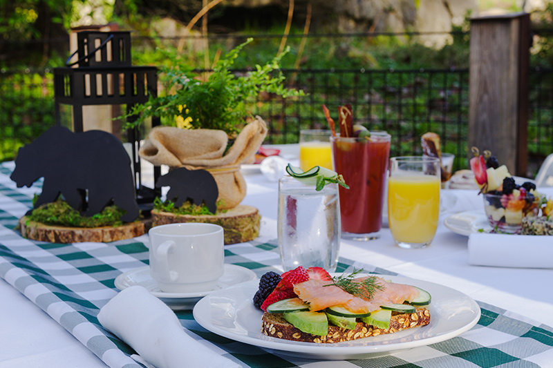A brunch table set outdoors features an open-faced sandwich with vegetables and smoked salmon, fruit, juice, coffee, a Bloody Mary, and rustic bear-themed decorations on a green and white checkered tablecloth.