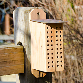 A wooden bee house with rows of small holes is mounted on a wooden post outdoors, with blurred foliage in the background.