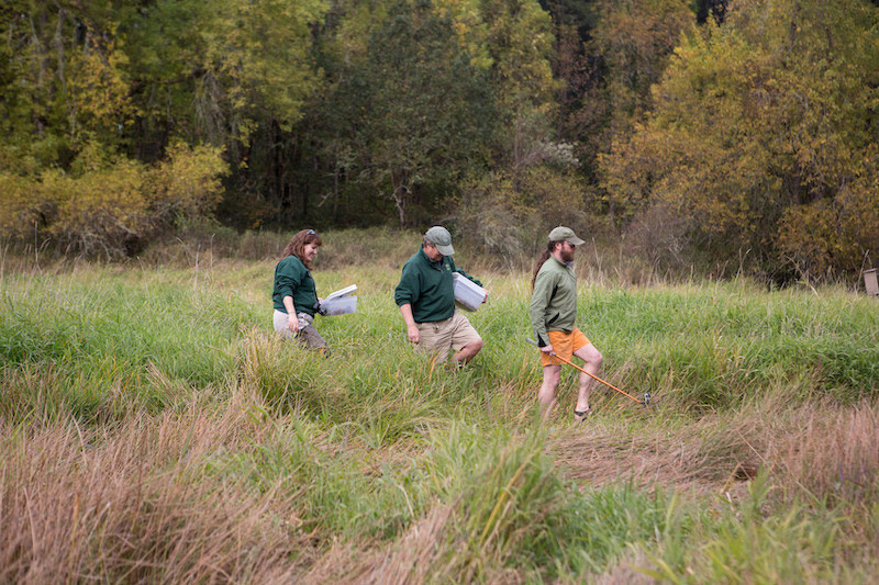 Three people walk through tall grass in a field near a forest, carrying containers and equipment, dressed in outdoor clothing. The scene appears to be part of a fieldwork or research activity.