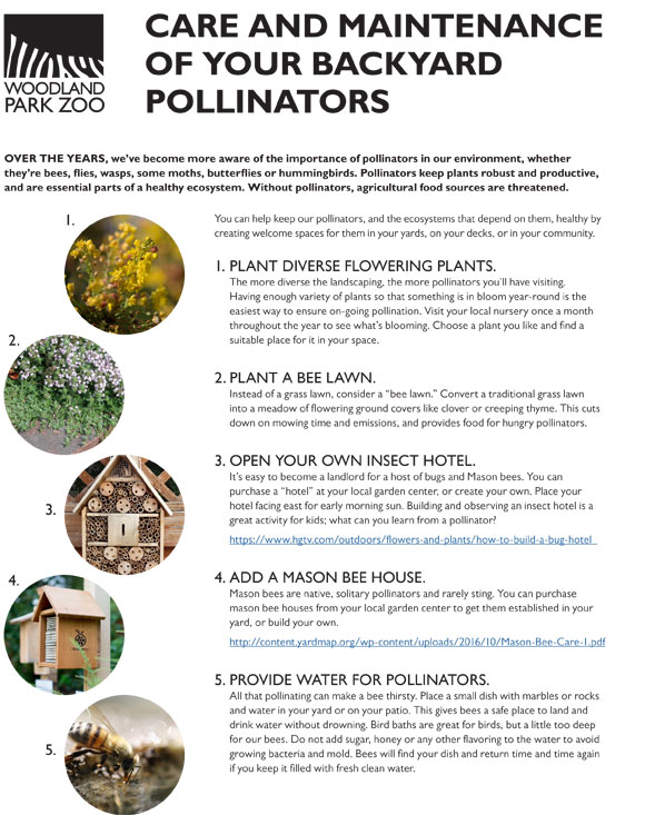 An informational flyer from Woodland Park Zoo titled Care and Maintenance of Your Backyard Pollinators lists five ways to support bees and pollinators, including planting flowers, mowing less, and providing shelter.