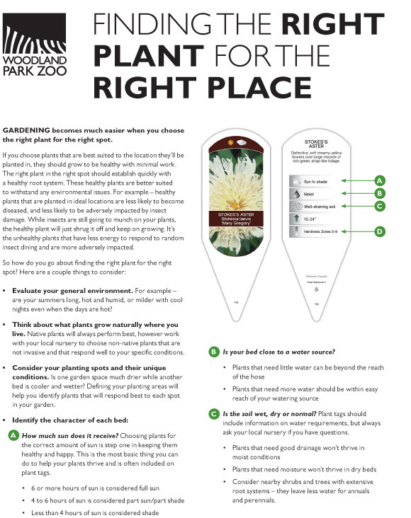 An informational flyer from Woodland Park Zoo titled “Finding the Right Plant for the Right Place” with gardening tips, a plant label example, and a list of factors to consider when choosing plants, such as light and water needs.