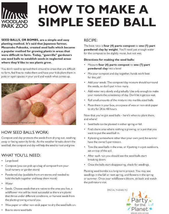 An instructional flyer from Woodland Park Zoo titled “How to Make a Simple Seed Ball,” featuring step-by-step directions, an image of a hand holding a small seed ball, and information on how seed balls help plants grow.