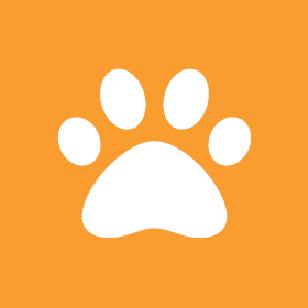 A simple white paw print icon centered on an orange background.