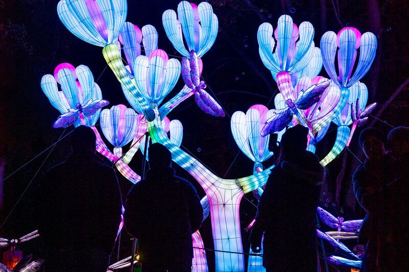 Silhouettes of people stand in front of a large, glowing art installation shaped like a colorful, illuminated tree with blue, pink, and purple hues against a dark background at night.