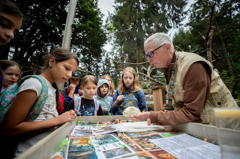 An elderly educator shows a group of attentive children an animal skull at an outdoor table covered with educational materials, in a wooded area.