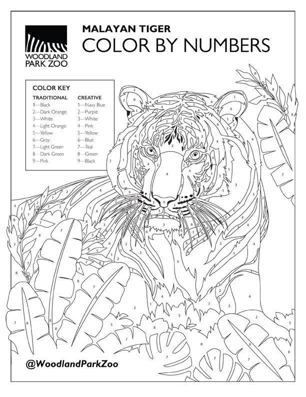 A color-by-numbers page from Woodland Park Zoo featuring a Malayan tiger surrounded by jungle plants. The color key lists numbers with corresponding traditional and creative color options.