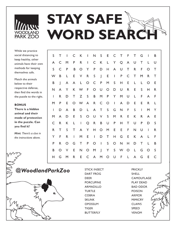 Word search puzzle titled STAY SAFE WORD SEARCH from Woodland Park Zoo. Includes zoo animal words, instructions, a drawing of a possum, and the zoo’s logo with a stick insect. A bonus asks to find a hidden animal drawn on the page.
