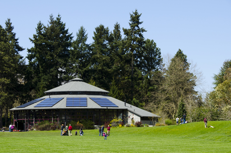 People enjoy a sunny day on grassy lawn near a large building with many solar panels on the roof, surrounded by tall evergreen trees.