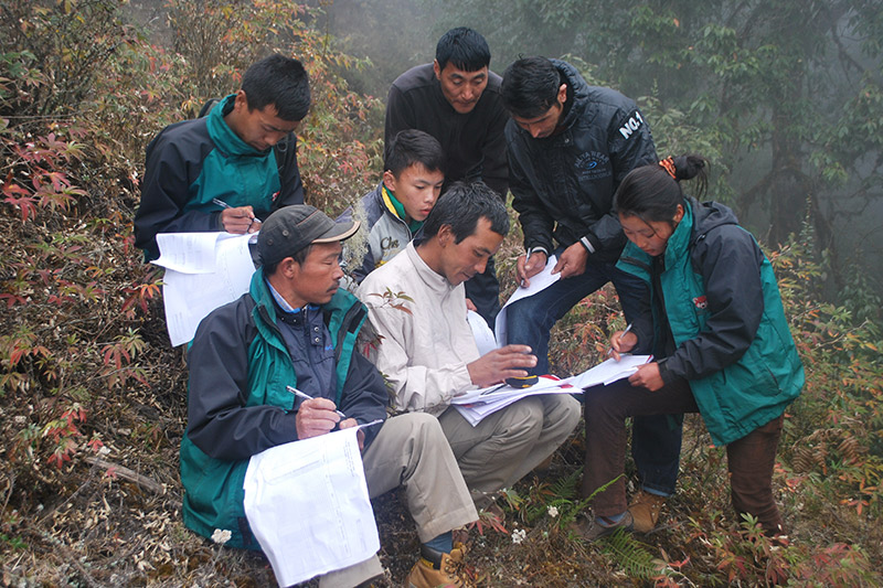 A group of six people, some seated and some standing, work together outdoors on a hillside with papers and notebooks, surrounded by plants and misty weather.