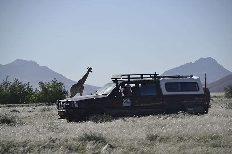 A safari vehicle with people inside is parked on dry grassland, with a giraffe standing nearby. Mountains are visible in the background under a clear blue sky.