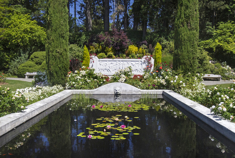 A rectangular reflecting pool with water lilies sits in front of a stone wall adorned with carvings, surrounded by blooming flowers, manicured greenery, and tall trees under a clear blue sky.