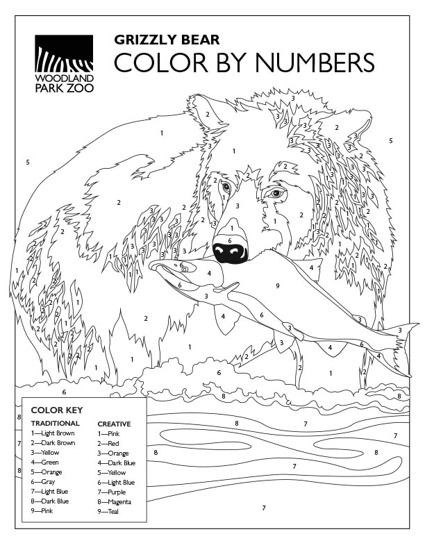 A color-by-number page shows a grizzly bear standing in water holding a fish in its mouth. Numbered sections guide coloring, and a color key with traditional and creative options is included at the bottom.