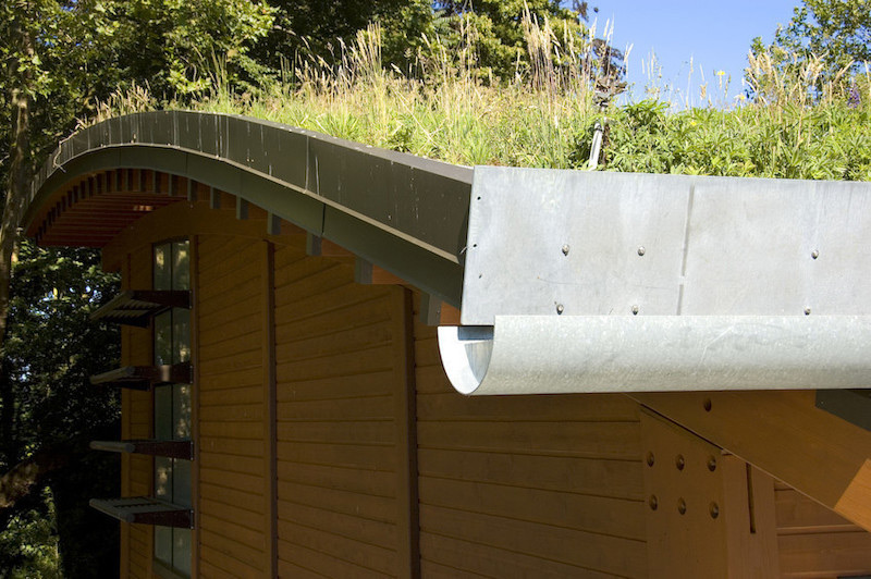 A close-up of a modern building with a curved metal roof featuring a green roof with plants growing on top. The exterior walls are wooden, and the building has an eco-friendly design.