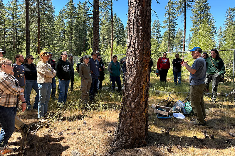 A group of people stands in a sunlit forest, listening to a man speaking and gesturing with his hands. Various outdoor equipment is on the ground, and tall pine trees surround the group.