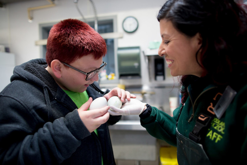 A boy with red hair and glasses closely examines white eggs, while a smiling woman in a green uniform with gloves holds them in a bright indoor setting.
