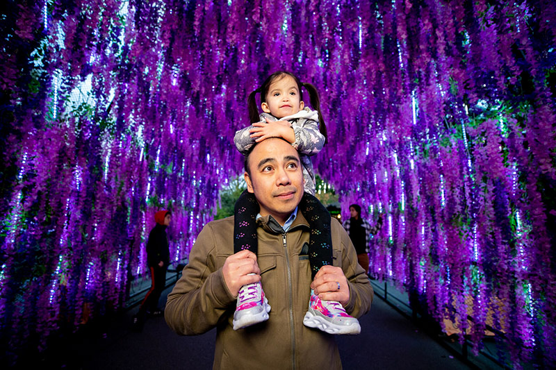 A man carries a young girl on his shoulders under a canopy of hanging purple flowers, both looking ahead with smiles. Other people are visible in the background, enjoying the vibrant floral display.