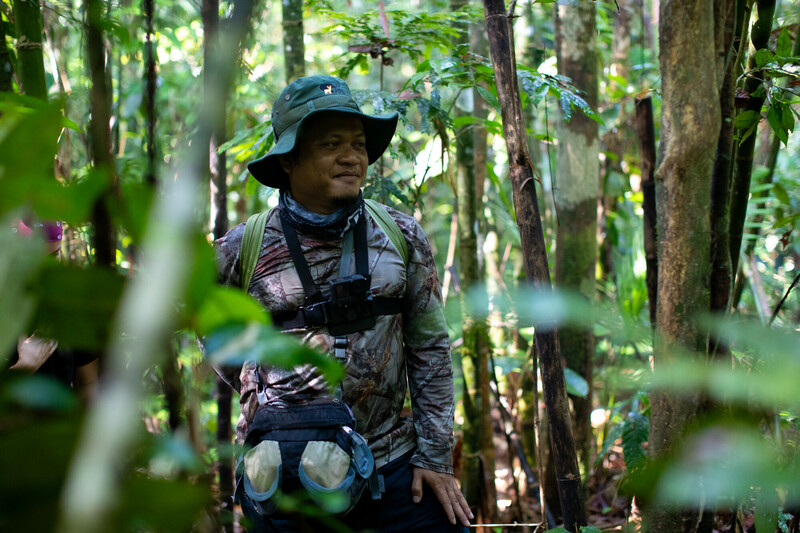A person in camouflage clothing, a wide-brimmed hat, and a chest harness stands in a lush, green forest surrounded by thick foliage and tall trees.