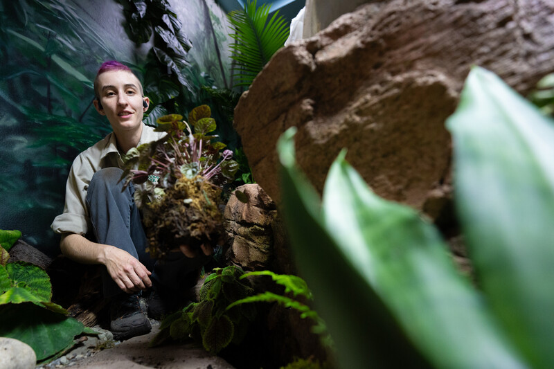 A person with short purple hair sits among rocks and greenery in a lush, indoor setting, holding a plant with exposed roots and smiling slightly, surrounded by various leaves and natural elements.