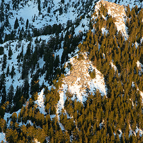 Aerial view of a mountainside covered with evergreen trees and patches of snow, with sunlight casting warm tones on the landscape.