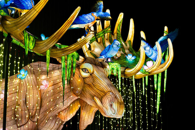 A brightly illuminated moose sculpture with glowing antlers adorned with blue birds, hanging green vines, and small flowers, all lit up against a dark background.