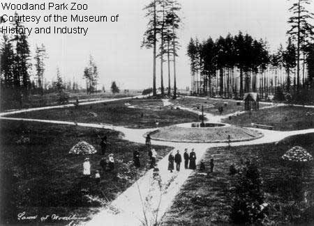 Black-and-white photo of early Woodland Park Zoo grounds with pathways, scattered trees, and people walking in groups; some structures and benches are visible in the open landscape. Text in upper left provides credit.
