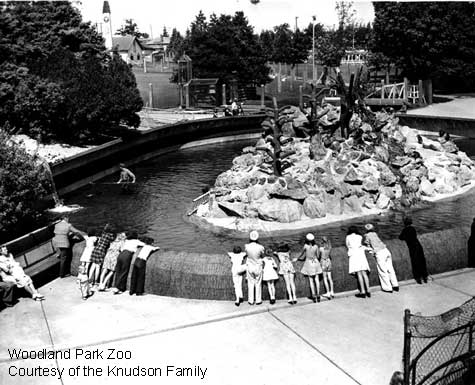 Black and white historical photo of people, including children, leaning over a low wall to observe a seal exhibit with rocky structures and water at Woodland Park Zoo. Trees and zoo buildings are visible in the background.