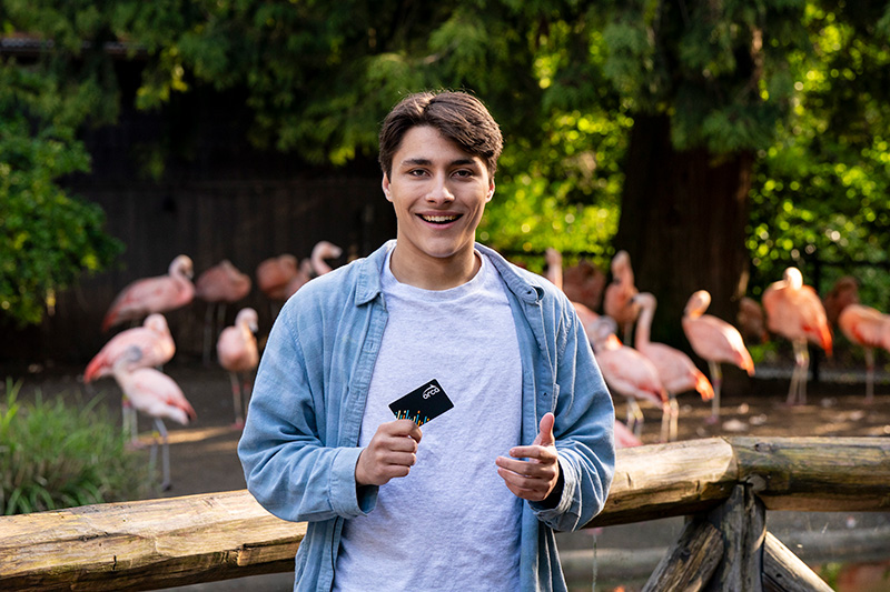A young man stands smiling in front of a group of flamingos at a zoo, holding a black card in his hand. He is wearing a light blue shirt over a white t-shirt, with greenery and trees in the background.