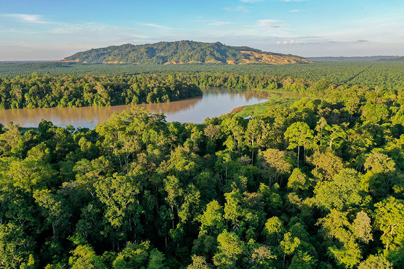 A lush green rainforest stretches toward a wide, winding river, with a forested hill rising in the distance under a blue sky with scattered clouds.
