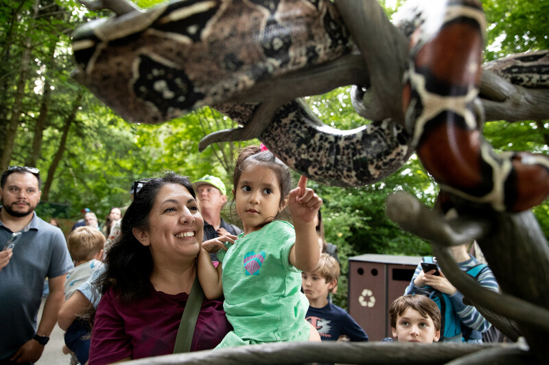 A woman holds a young girl who is pointing at a large snake on a tree branch at a zoo, surrounded by other people and lush greenery in the background.